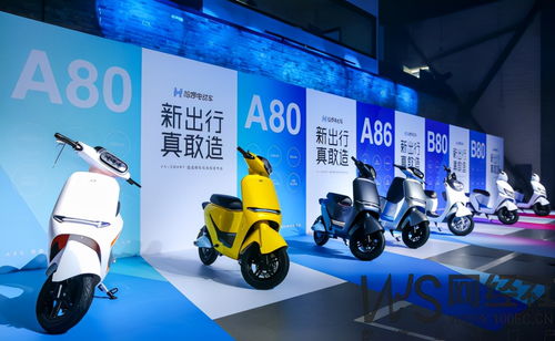 阿里 螞蟻集團(tuán)2.8億美金重倉 這家公司竟然是......