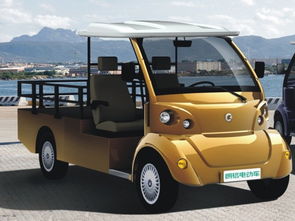 江蘇省朗格 朗格海豚系列電動(dòng)觀光車 朗格電動(dòng)車 優(yōu)質(zhì)商家 高清圖片 高清大圖